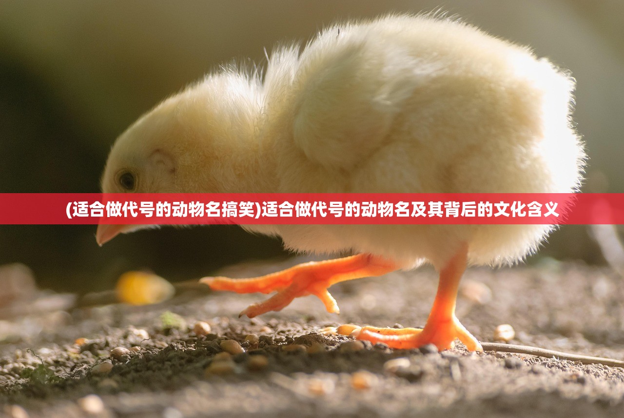 (魔兽遗失的记忆攻略流程)魔兽遗失的记忆攻略详解及常见问题解答