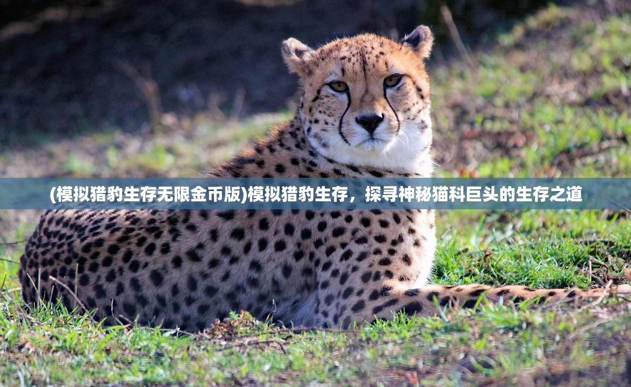 (三国争霸渤海小吏PDF)三国争霸，渤海小吏的角色与影响