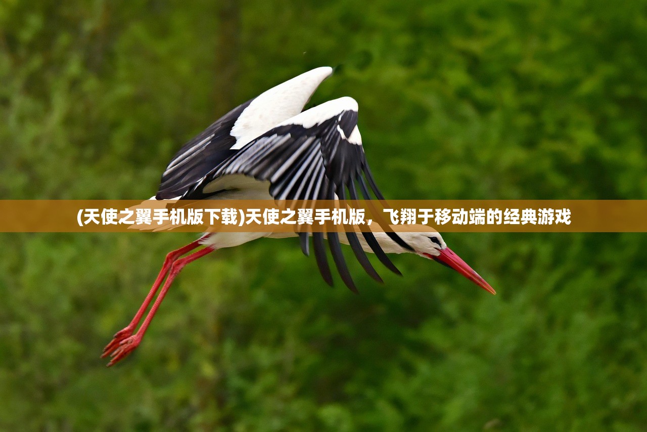 (projectreborn游戏最新版特色)Project Reborn游戏，重生项目的深度探索与独特魅力