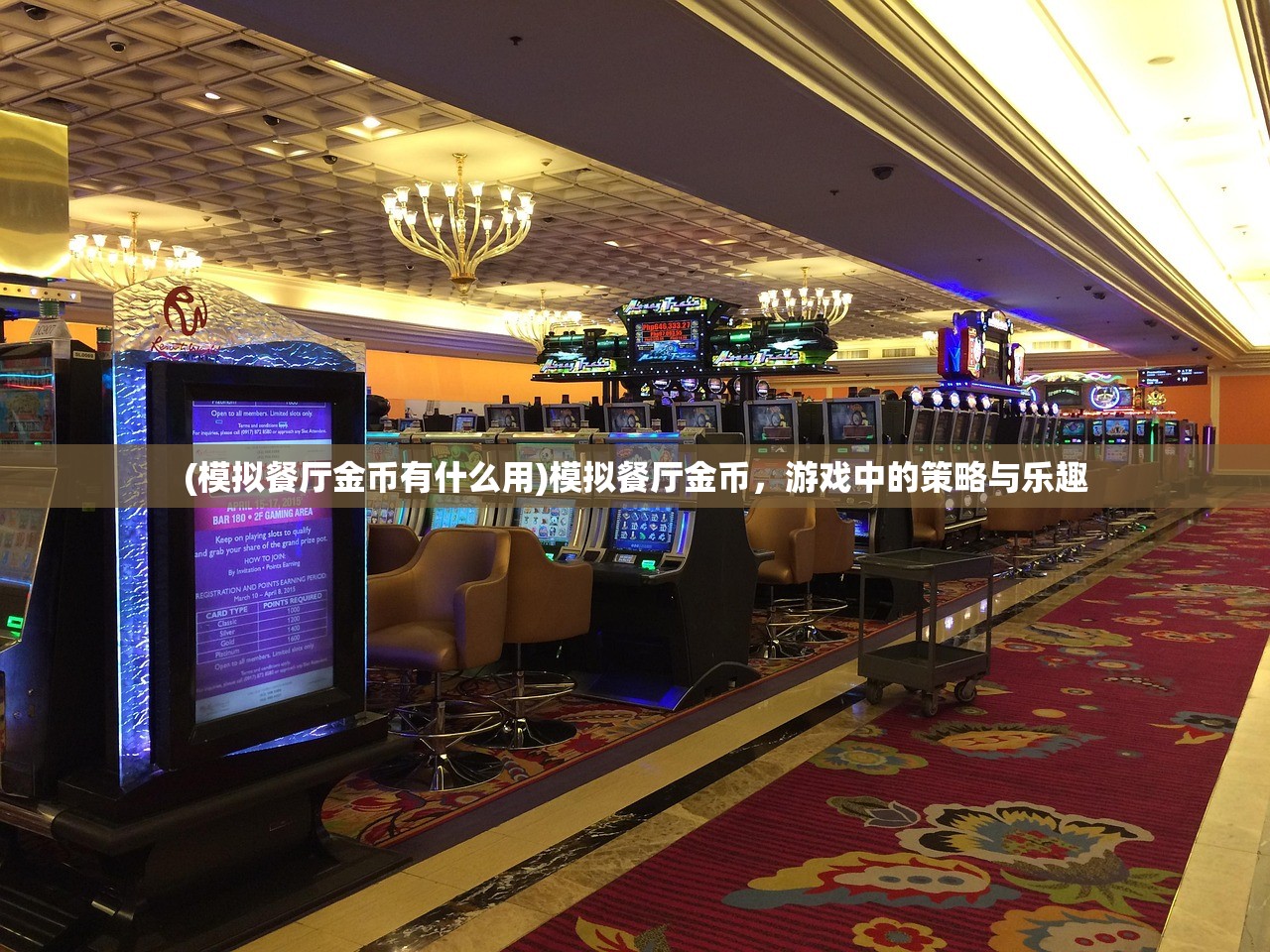 万世镜搭配，探索最佳组合之道