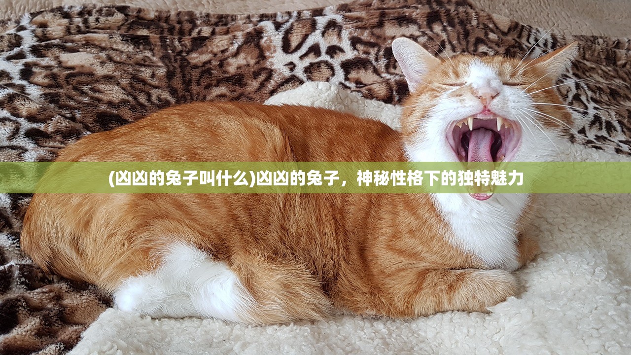 (探灵停服了怎么玩游戏)探灵停服后如何继续游戏？攻略指南与常见问题解答