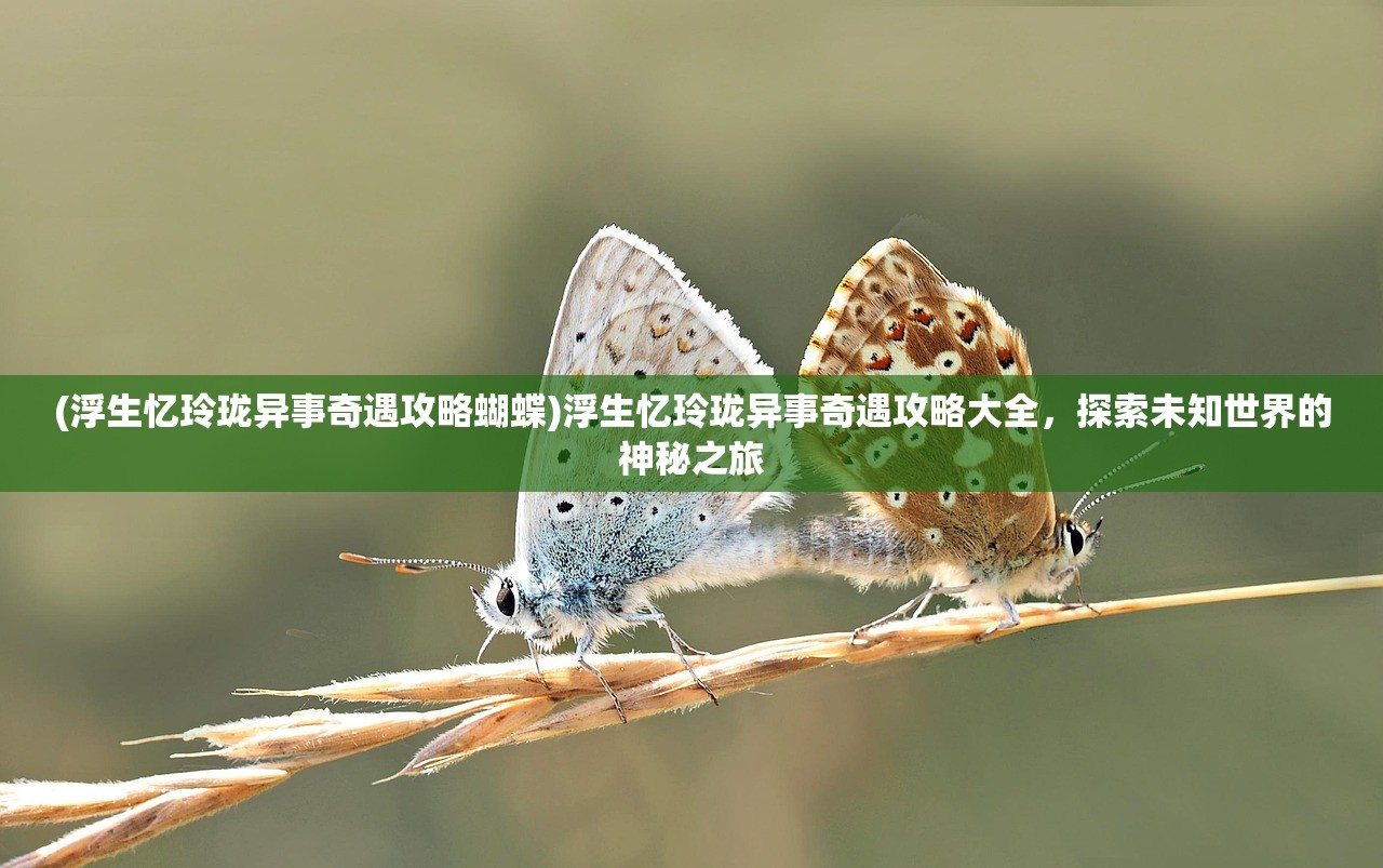 (二之国交错世界宝箱位置普利兹摩尔冰川地带)二之国交错世界宝箱位置探索与攻略