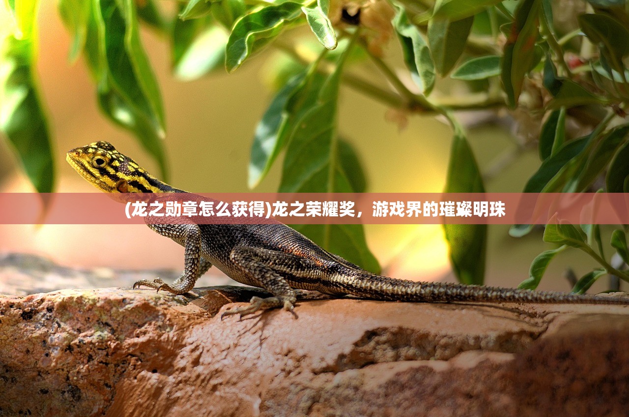 (虚空战争0氪攻略大全图文)虚空战争0氪攻略大全，从零开始，轻松取胜！