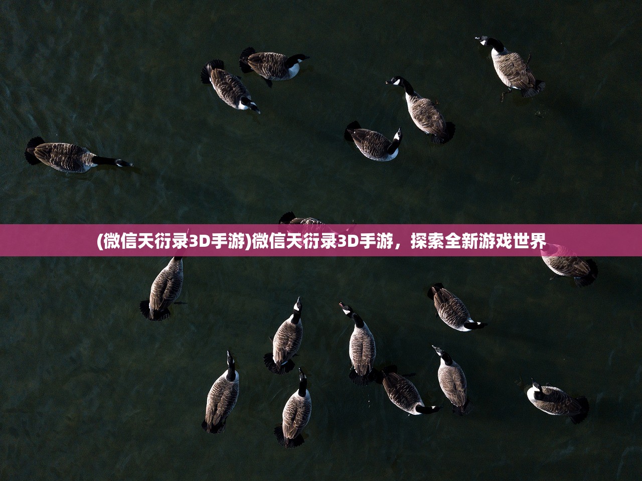 (名将三国志手游游戏攻略)名将三国志手游，三国策略战场的独特魅力