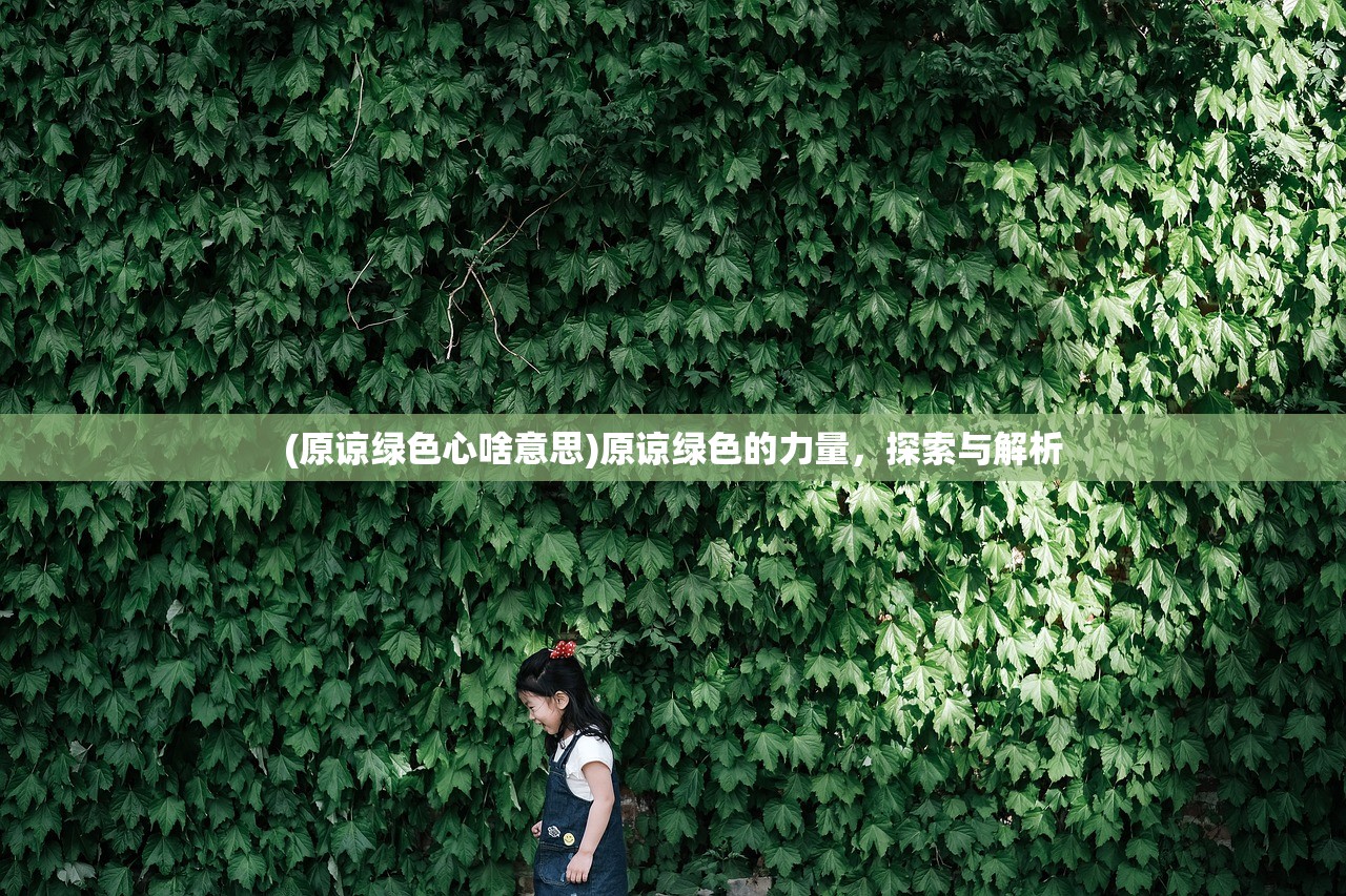 (小小冒险家歌词全部)小小冒险家的歌词之旅，一场充满冒险与勇气的征途