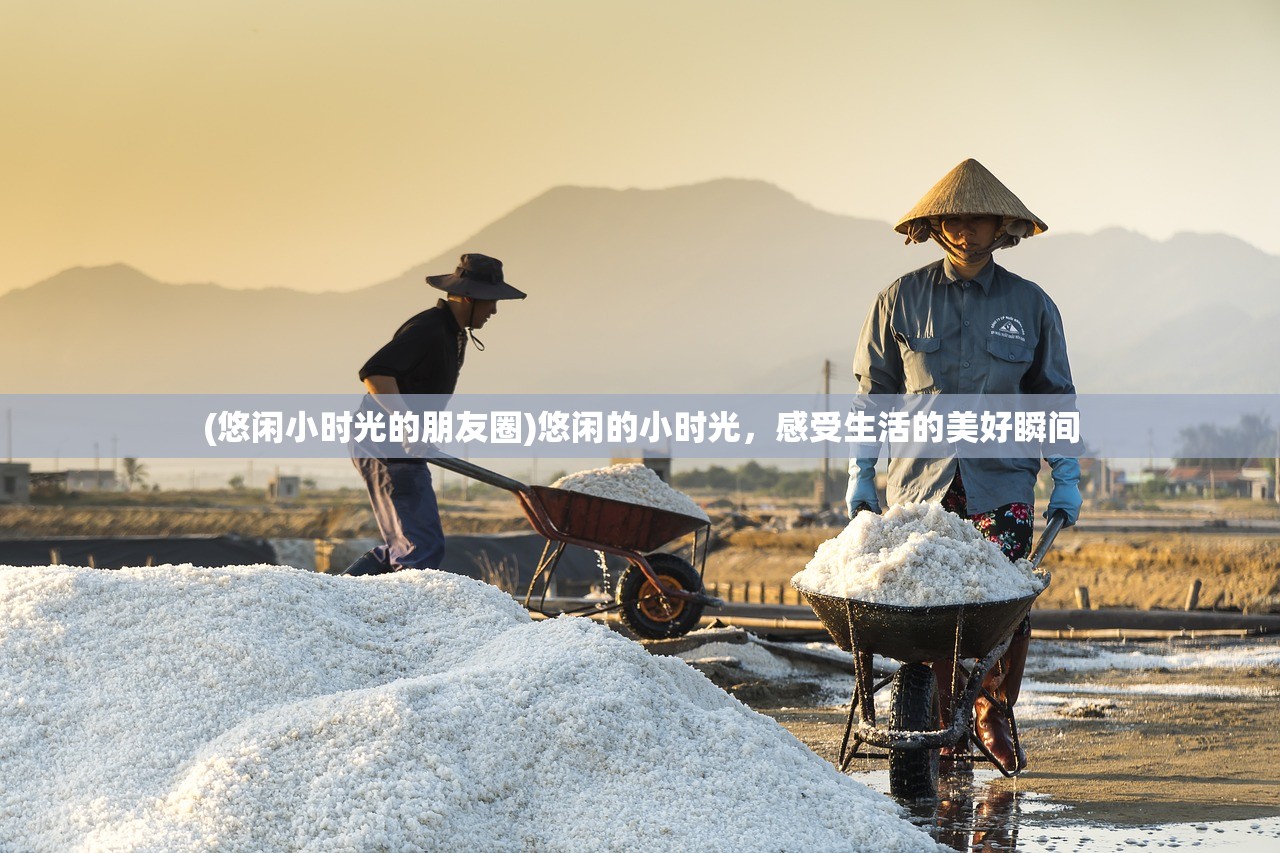 (寂静森林攻略手机版)寂静森林攻略大全及常见问答解析