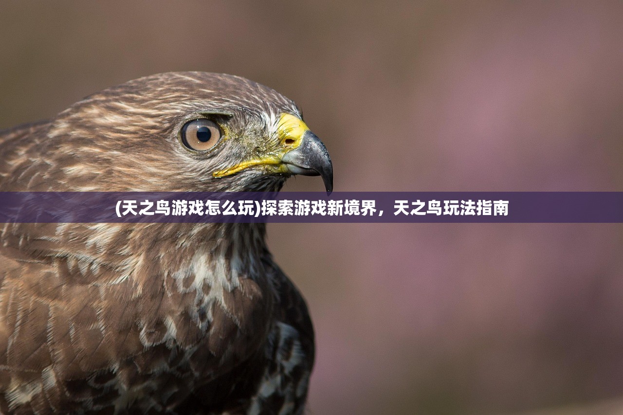 (精灵学院riolu机场优惠)精灵学院与Riolu机场，探索与融合
