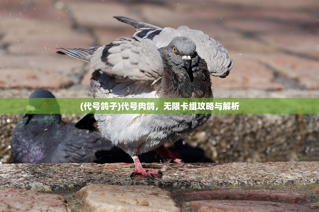 (天堂奇缘人物介绍)天堂奇缘人物，一段跨越时空的缘分传奇