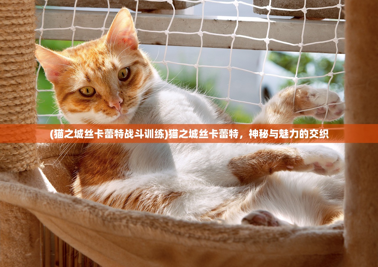 (无双战机旧版本下载2024最新版)无双战机旧版本，回忆与探索