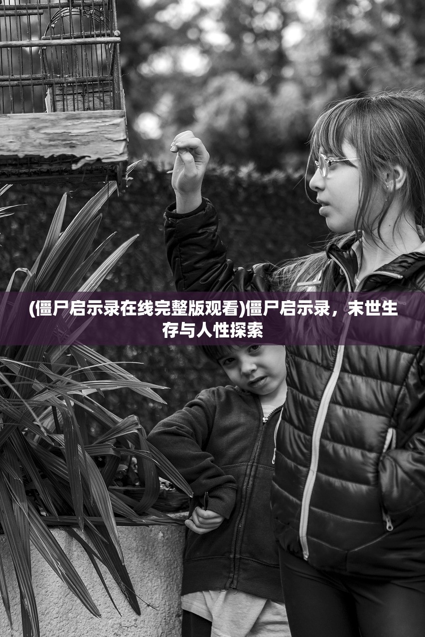 (奶瘾 骨科沈医生不可以视频吗)奶瘾与骨科沈医生，深入了解与探讨