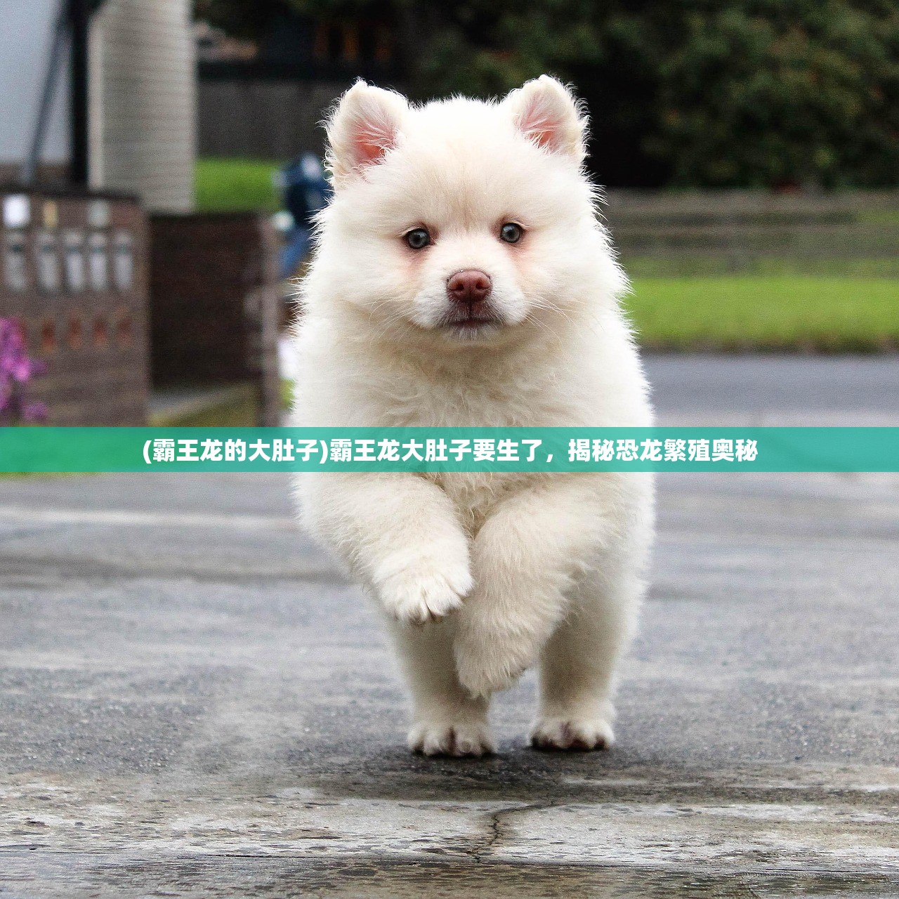 (我叫mt经典再现65章怎么过)我叫MT经典再现，第65章的深度解析与探讨