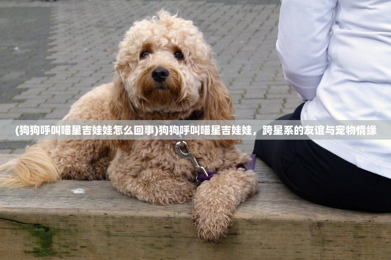 (巅峰战舰破解版无限金币无限钻石)巅峰战舰，海战艺术的极致展现