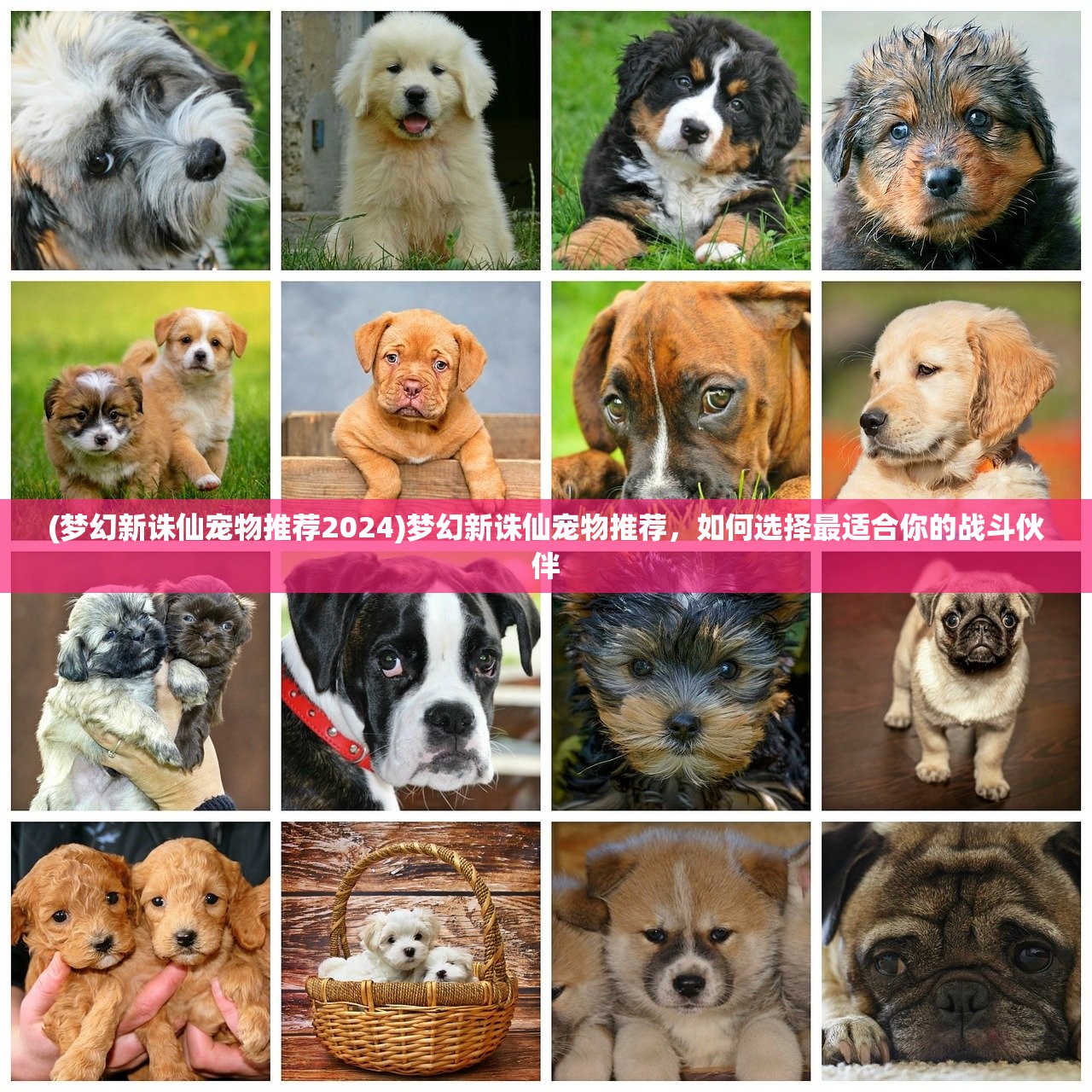 (大秦帝国ol之英雄崛起免费阅读小说)大秦帝国OL之英雄崛起，免费阅读时代的新篇章