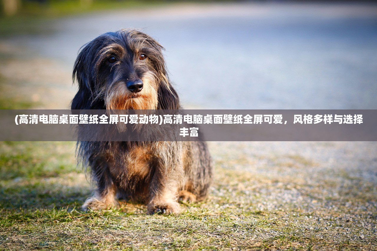 (究极勇者的选择传说第十一关怎么过)究极勇者的选择传说第十一关，挑战与冒险的巅峰