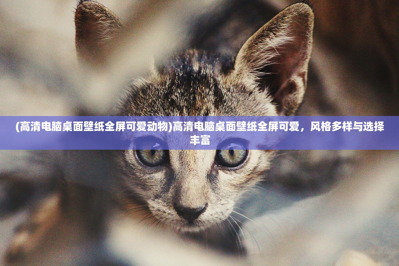 (究极勇者的选择传说第十一关怎么过)究极勇者的选择传说第十一关，挑战与冒险的巅峰