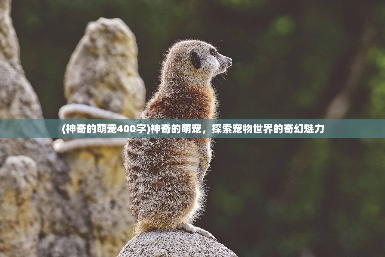 (港综王者崛起笔趣阁)港综王者崛起，探索新时代的崛起之路