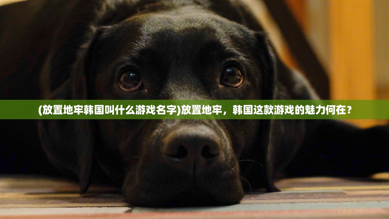 (古国崛起手游攻略大全)古国崛起手游攻略大全及常见问题解答