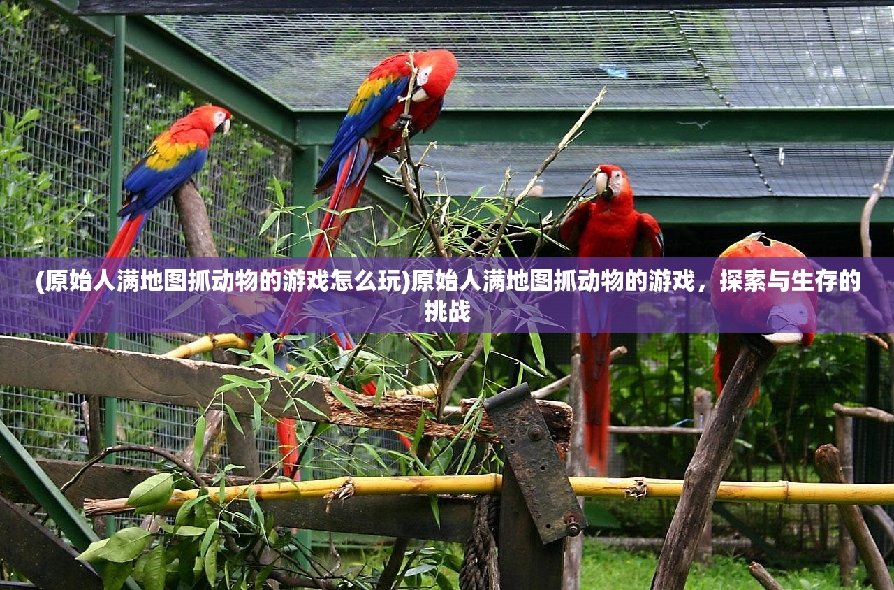 (手机三国杀吧百度贴吧)手机三国杀吧，深度解析与常见问答解答