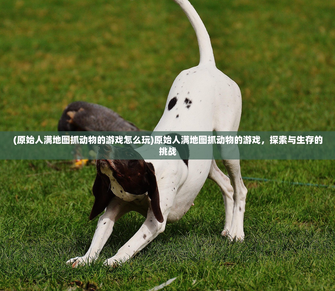 (mp3歌曲免费下载)关于MP3歌曲免费下载的深度探讨，机遇与挑战并存的时代