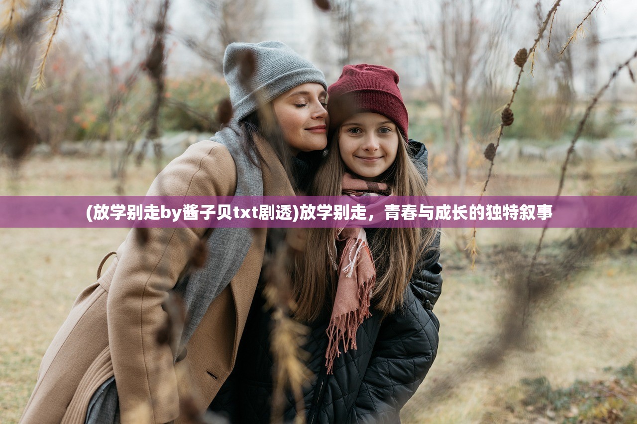 (天剑奇缘vip价格表大全)天剑奇缘VIP价格表及其深度解析