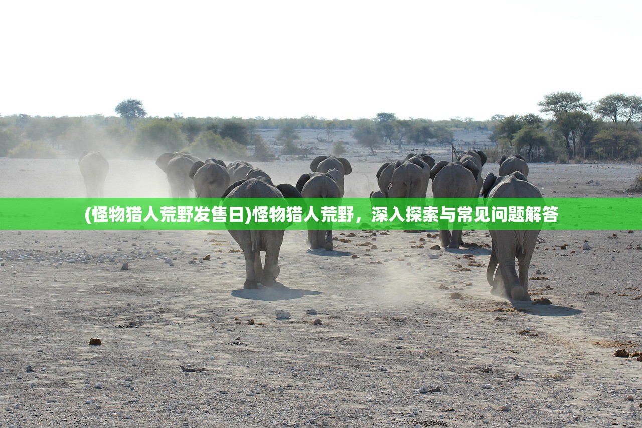 (风影手游阵容搭配攻略图片)风影手游阵容搭配攻略图，策略分析与最佳组合指南