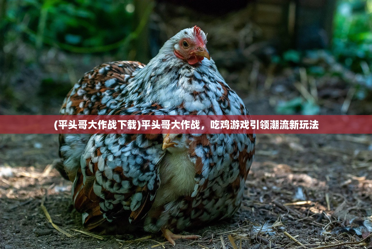 (暗黑4佣兵地下城怎么进去)暗黑破坏神IV，佣兵地下城的进入方法