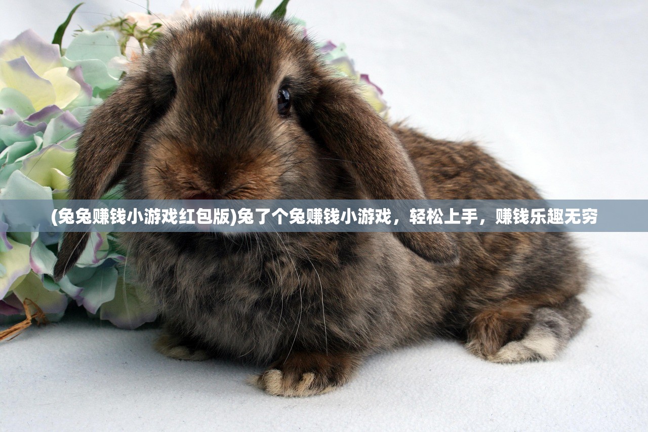 (铁拳功的高级秘传练法视频)铁拳功的高级秘传练法，深入解析与实战应用