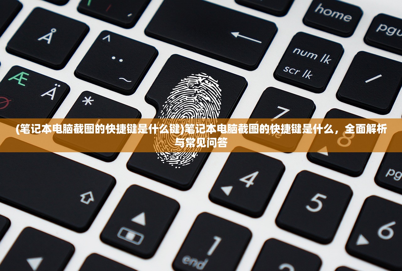 (魔禁吧风气怎么回事)魔禁吧，一个多元交流与深度探讨的二次元社区