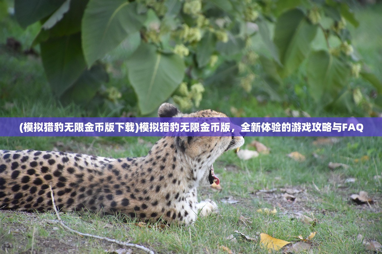 (诛神乾坤传奇手游官网下载)诛神乾坤传奇，探索神秘世界的史诗之旅
