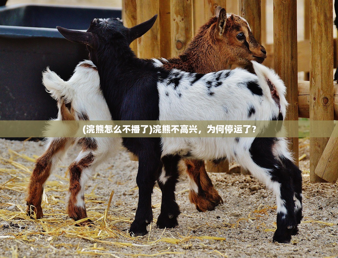 (末日指挥官阵容)末日指挥官查尔斯好用吗，全面解析与常见问题解答