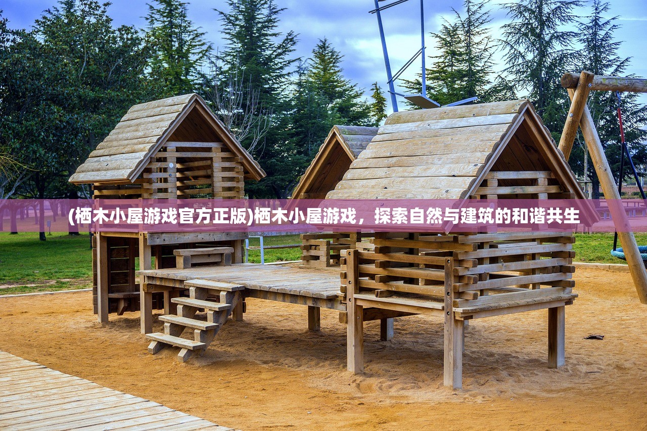 (我的御剑日记t0阵容搭配)我的御剑日记，探索最佳T0阵容