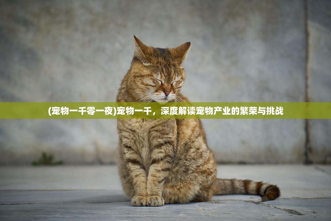 (王者之光手感怎么样)王者之光手电筒，深度解析其性能与特点