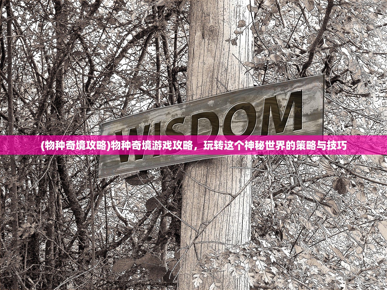 (漂在江湖手游官网)漂在江湖手游，江湖风云的重生体验之旅