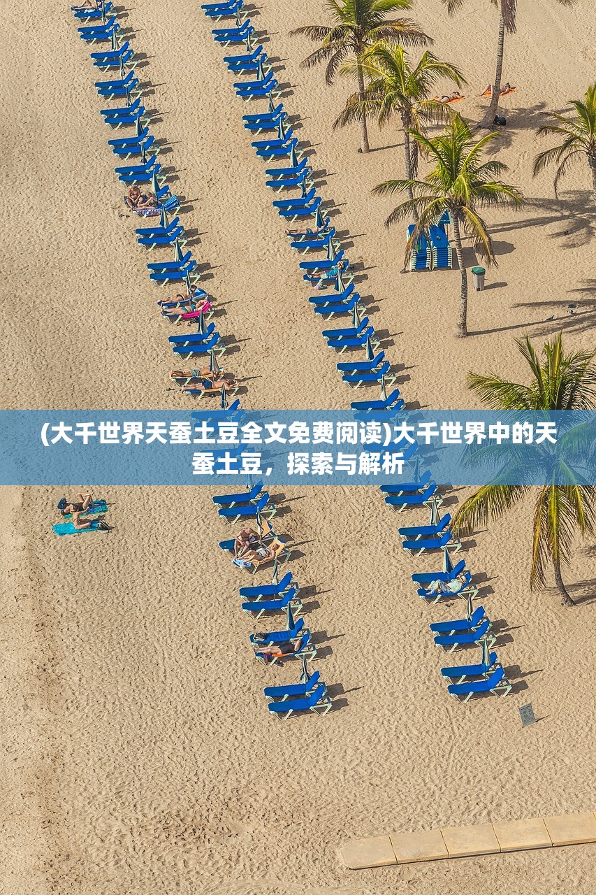 (一品锦衣卫笔趣阁)一品锦衣卫，权力与荣耀的交织