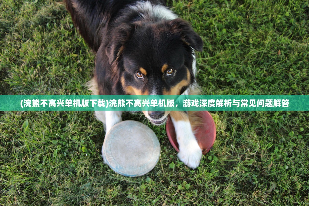(卡卡保皇兑换码12个礼包最新)卡卡保皇试炼塔过关阵容攻略及常见问题解答