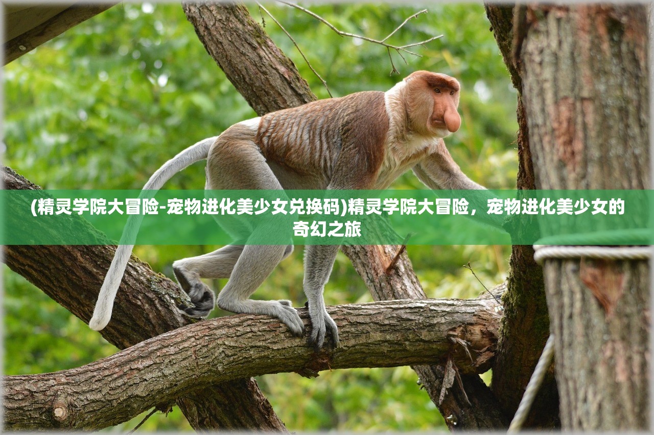 (幻想之城为什么下架了呢)幻想之城下架原因深度解析