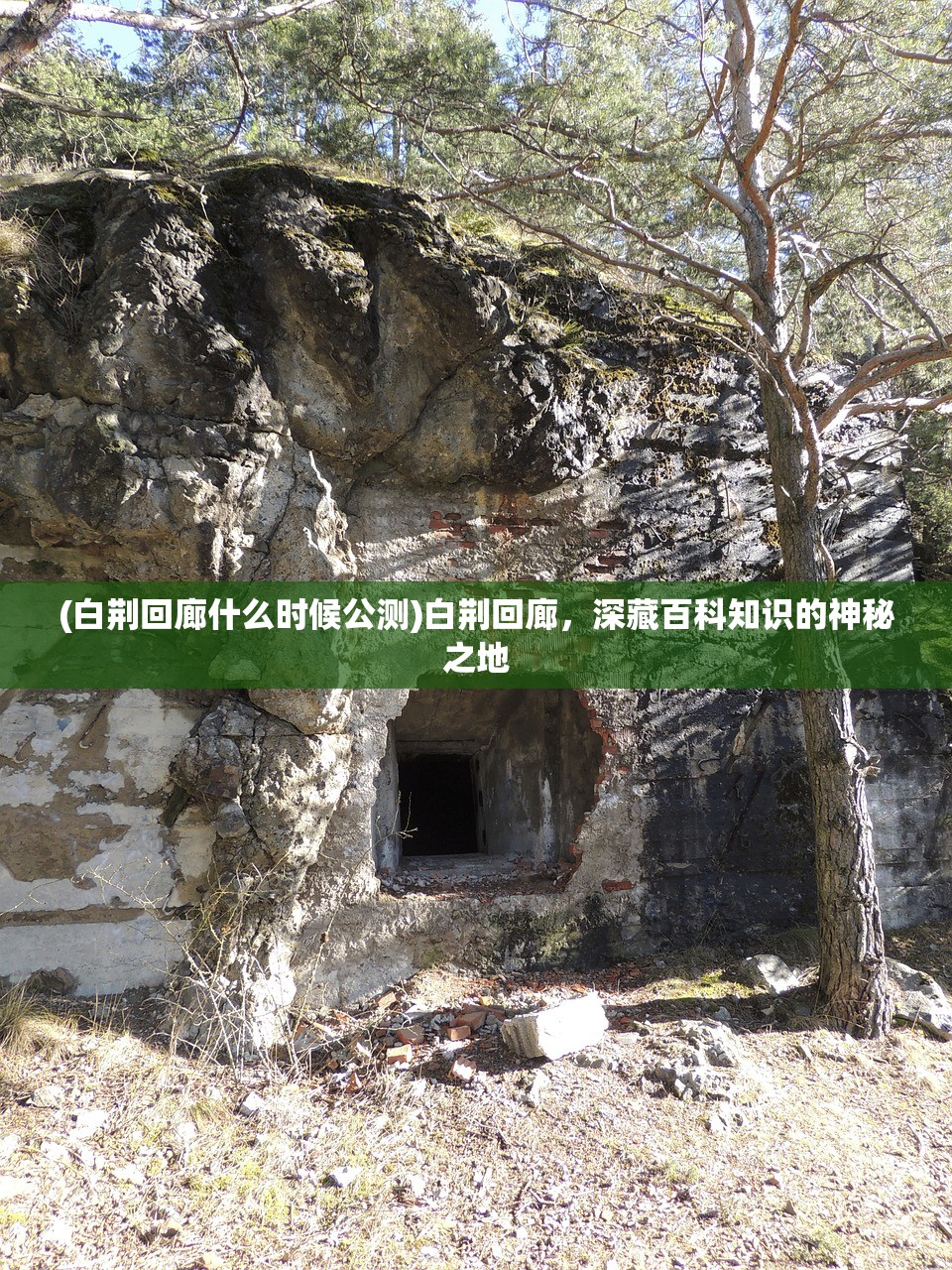 (灾变前夜警察局密码怎么输入)灾变前夜警察局密码揭秘与解析