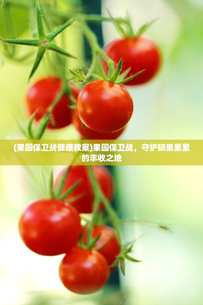 (阴阳师秘闻山兔大暴走3246怎么过)阴阳师秘闻山兔大暴走事件，探索与解析