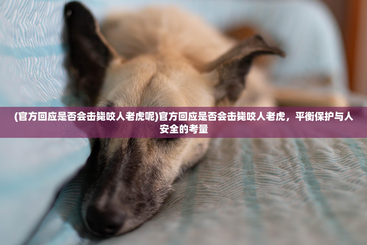 (铠六会有终极铠甲吗)铠六会，终极铠甲的期待与揭秘