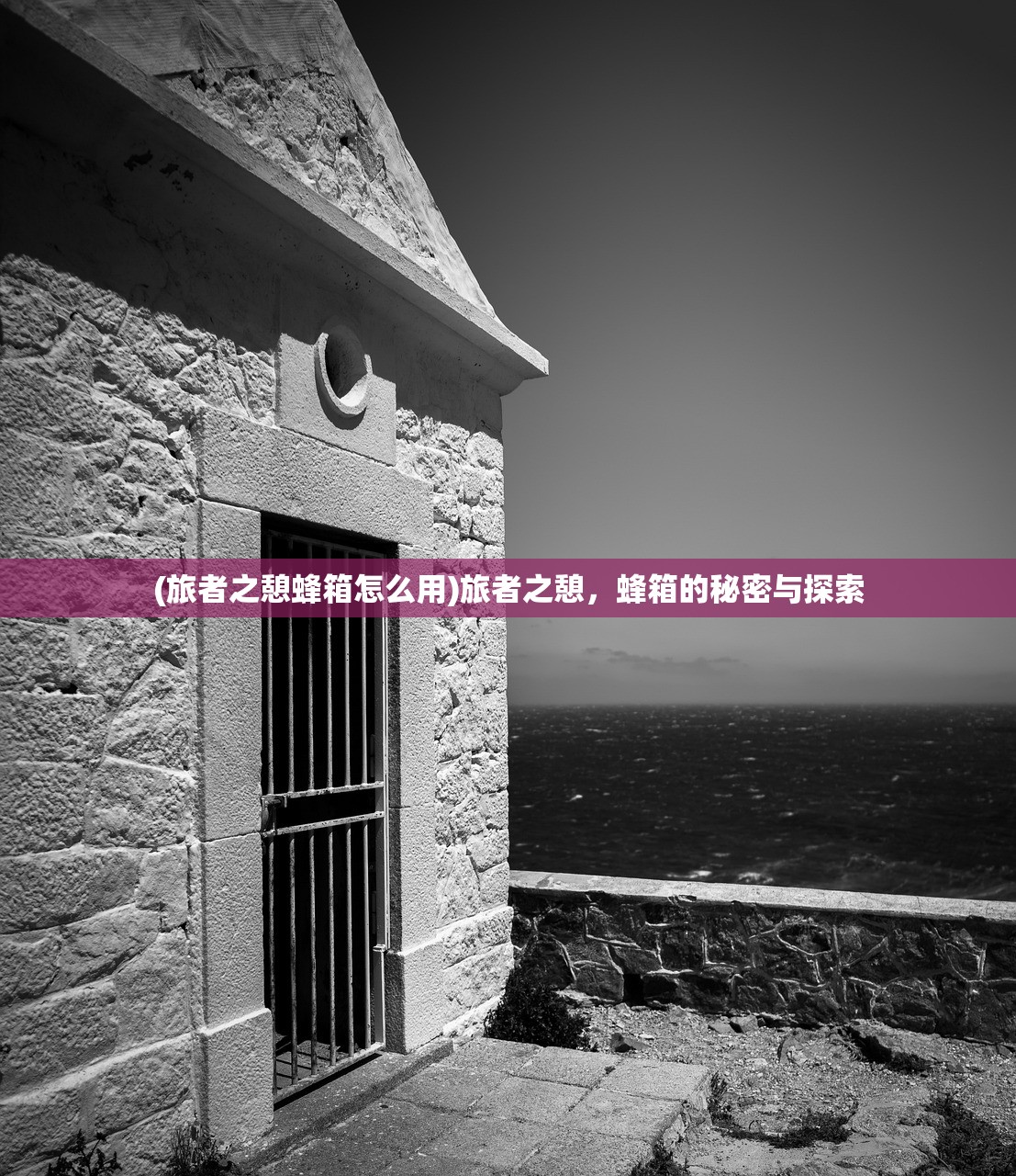 (旅者之憩蜂箱怎么用)旅者之憩，蜂箱的秘密与探索