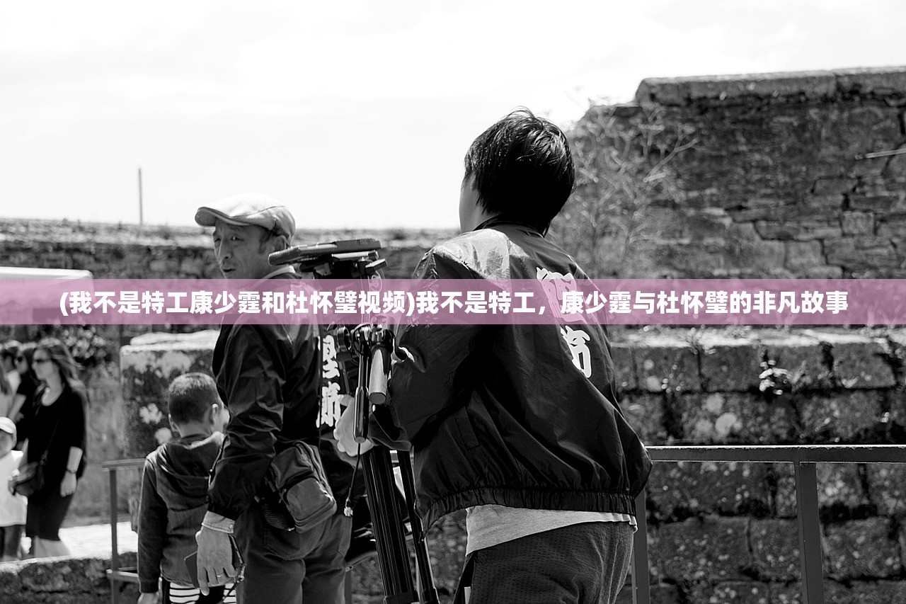 (我不是特工康少霆和杜怀璧视频)我不是特工，康少霆与杜怀璧的非凡故事