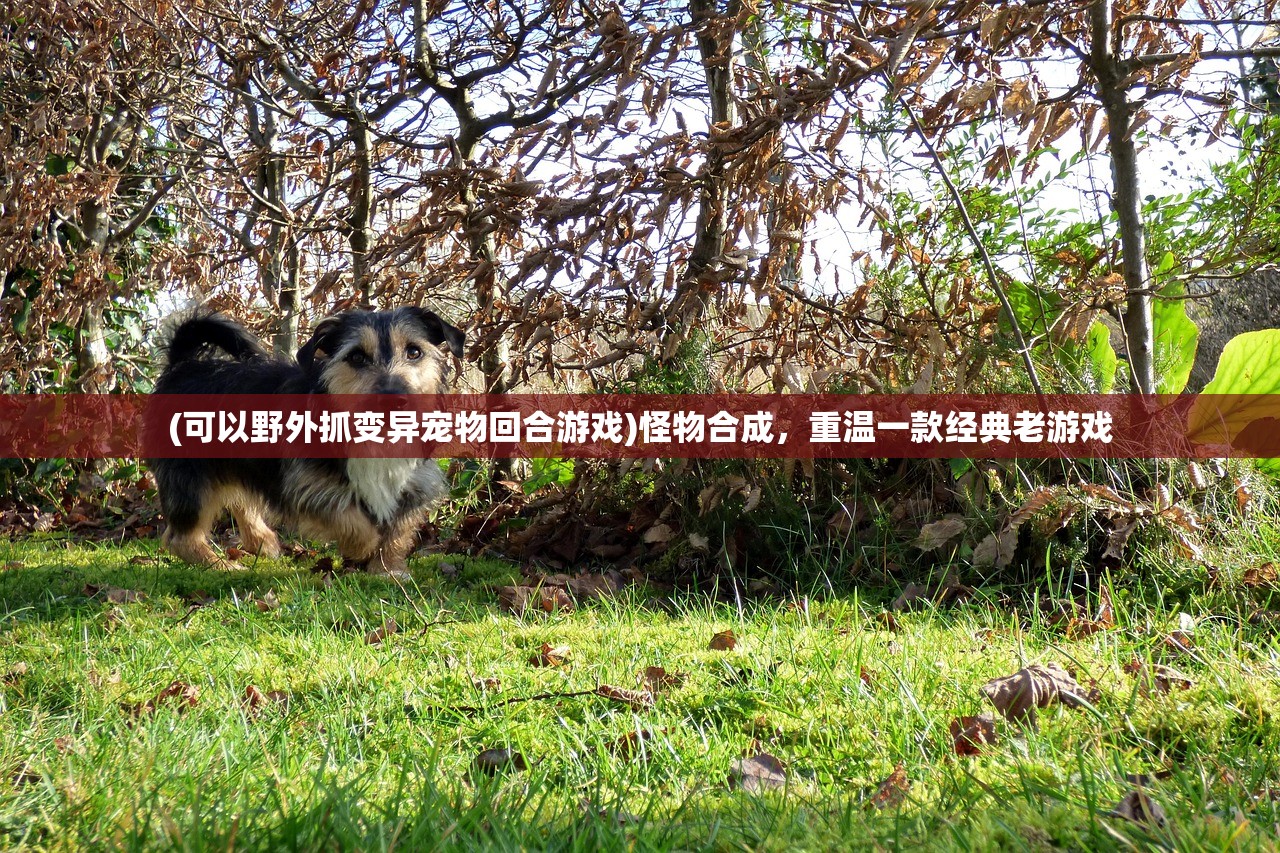 (可以野外抓变异宠物回合游戏)怪物合成，重温一款经典老游戏