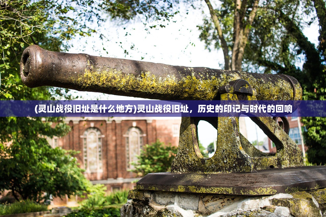 (精灵魔塔游戏攻略)精灵魔塔游戏，深度探索与常见问答