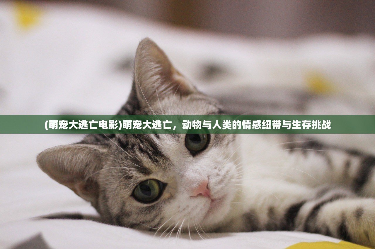(西游冒险记神话悟空模拟)西游冒险记，神话悟空模拟探索之旅