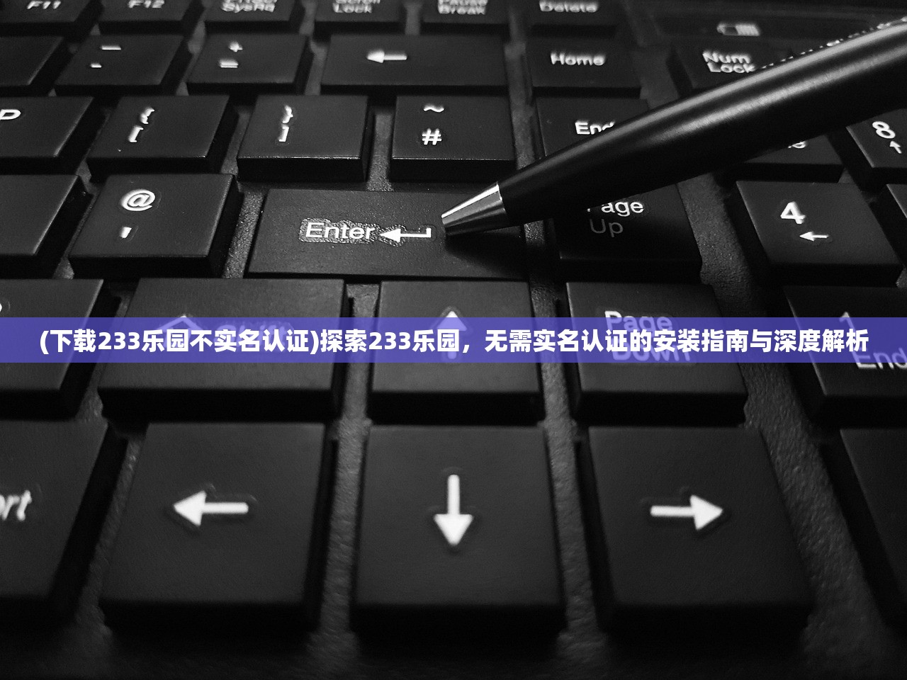 (下载233乐园不实名认证)探索233乐园，无需实名认证的安装指南与深度解析