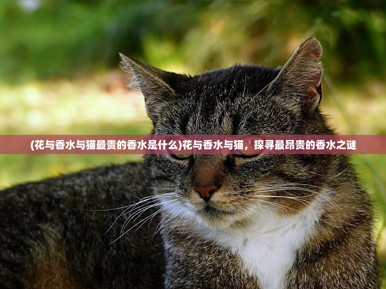 (烈火如歌手游官网)烈火如歌手游GM版，游戏深度分析与常见问题解答