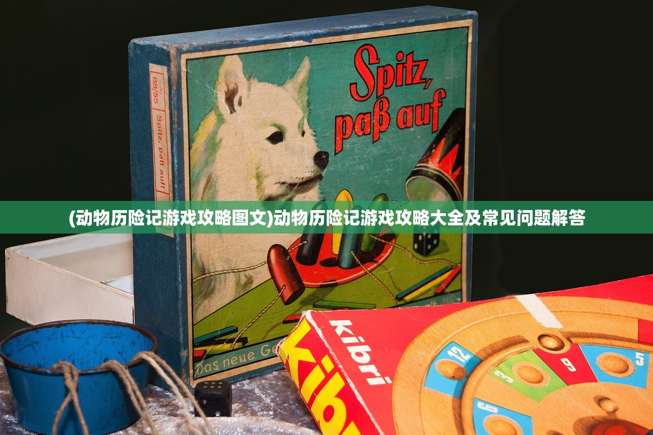 (小富婆的暗语是什么意思)小富婆的暗语，揭示背后的神秘语言与符号