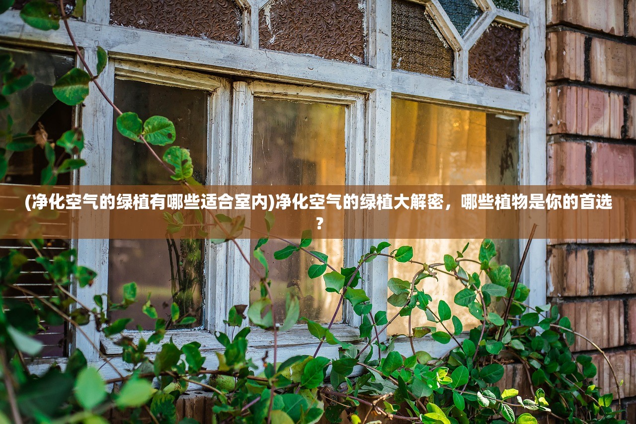 (如果一生只有三十岁 吉他谱)如果一生只有三十岁，吉他谱的魅力与探索
