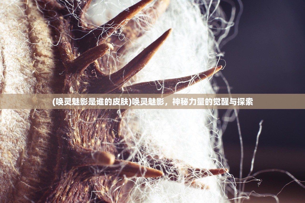 (坎公骑冠剑角色强度排行大全)坎公骑冠剑角色强度排行及全方位分析