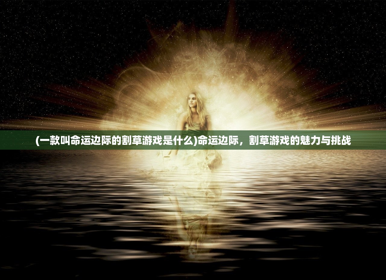 (零之战线2)零之战线下架原因深度解析